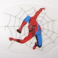 Spiderman Strijkapplicatie
