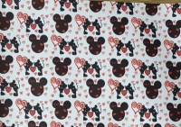 Mickey/Minnie Leer