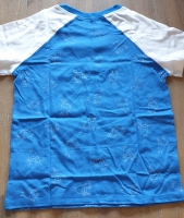 Shirtje Blauw